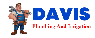 Trusted plumber in VAN TASSELL